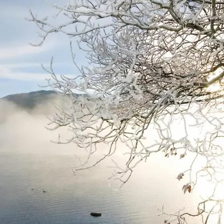 Boxtree * Dacre (Cumbria)